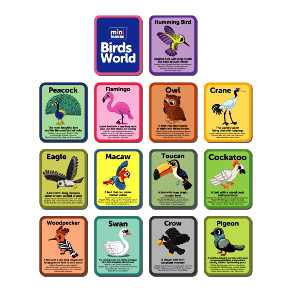 Birds Flash Knowledge Cards (3-5 Years) - Mini Leaves