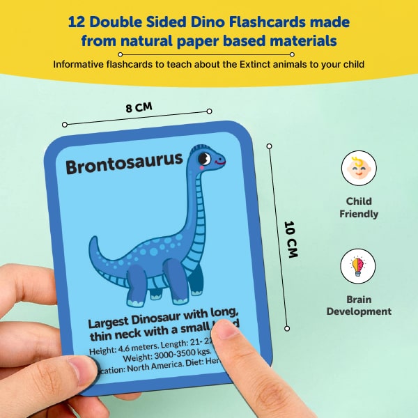 Dinosaurs Flash Knowledge Cards (3-5 Years) - Mini Leaves